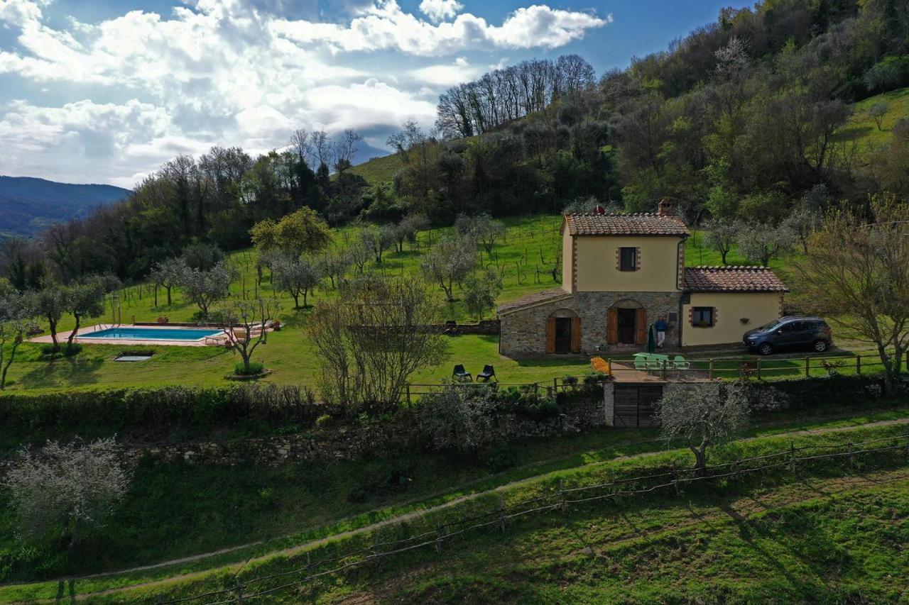 Villa San Regolino Whit Private Pool Radicondoli Exterior foto